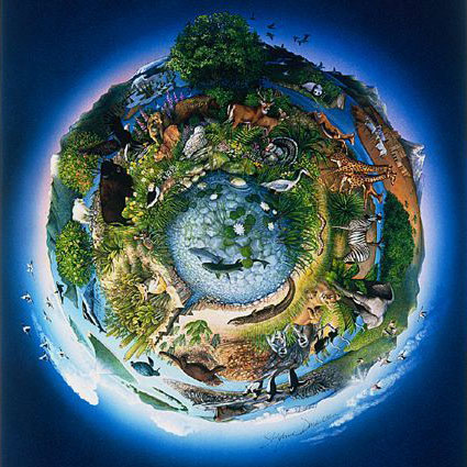 ecosistema.jpg.0c7ce19da5a5b607fb61dc897