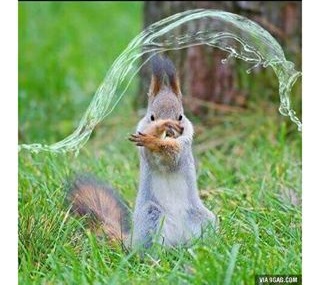 squirrel watermage.jpg